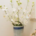 Maira Cozy Apartamento *