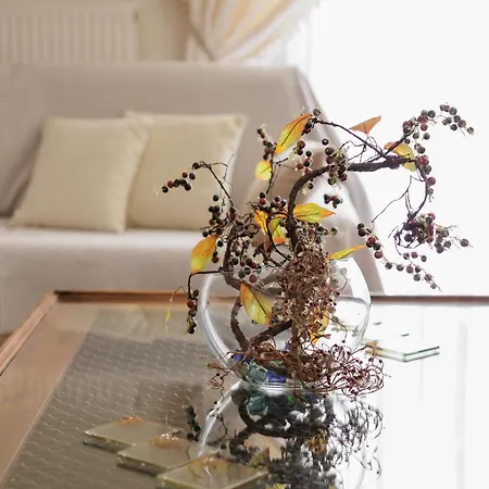Maira Cozy Apartment *