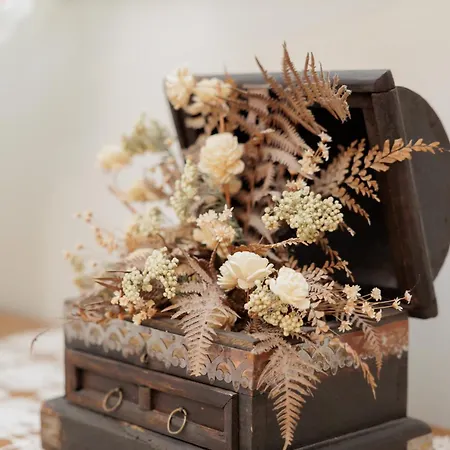 Maira Cozy Lejlighed *