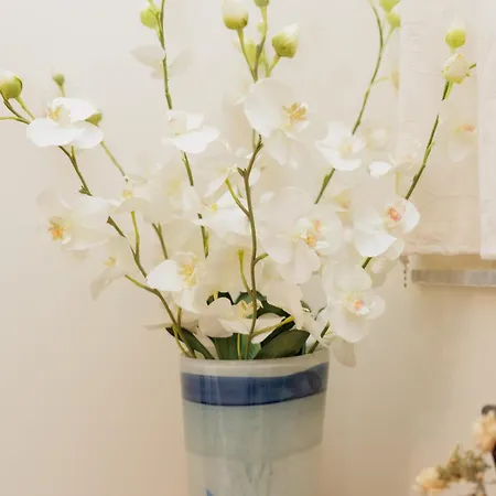 Maira Cozy Lejlighed *