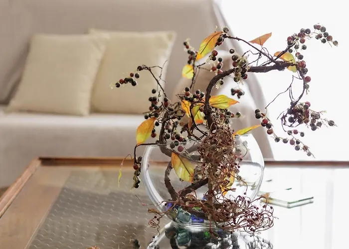 Maira Cozy Appartement *