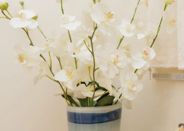 Maira Cozy Apartamento *